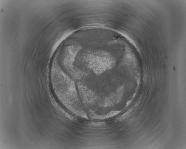 X0000061141325200512161520