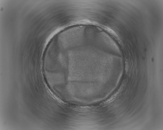 X0000061141326200512161520