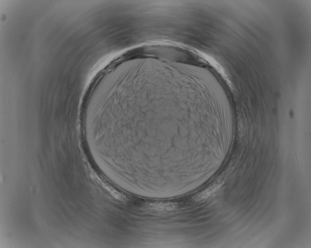 X0000061141327200512161520