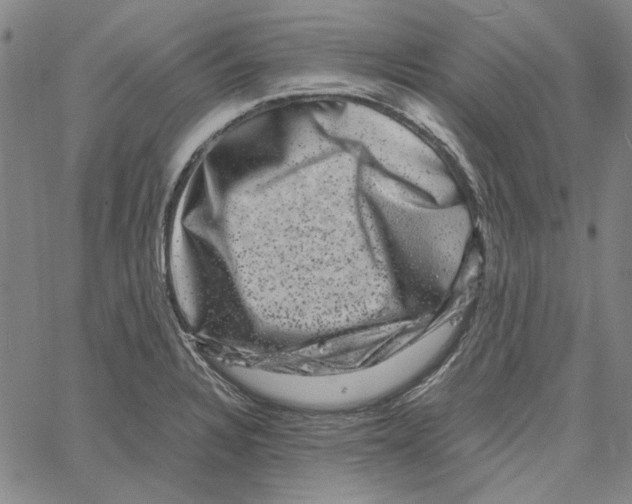 X0000061141328200512161520