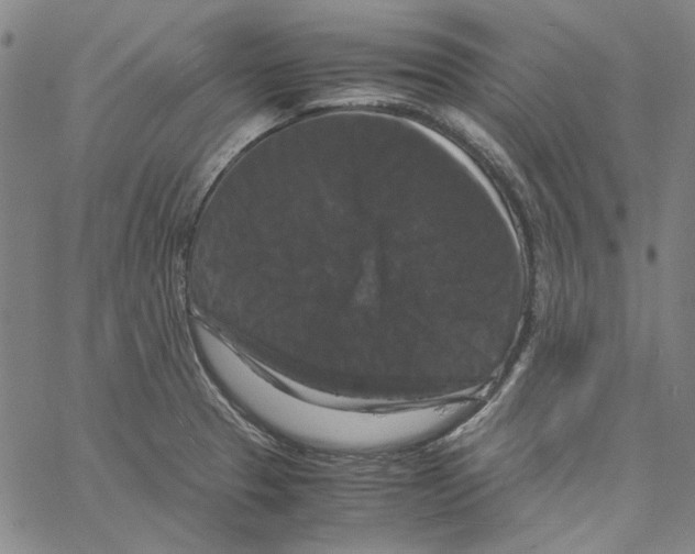 X0000061141329200512161520