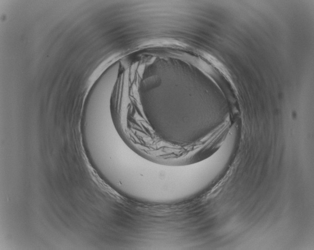 X0000061141330200512161520