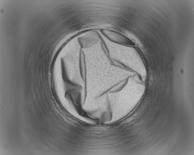 X0000061141332200512161520