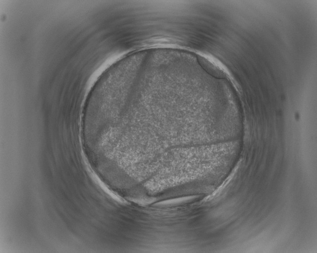 X0000061141333200512161520