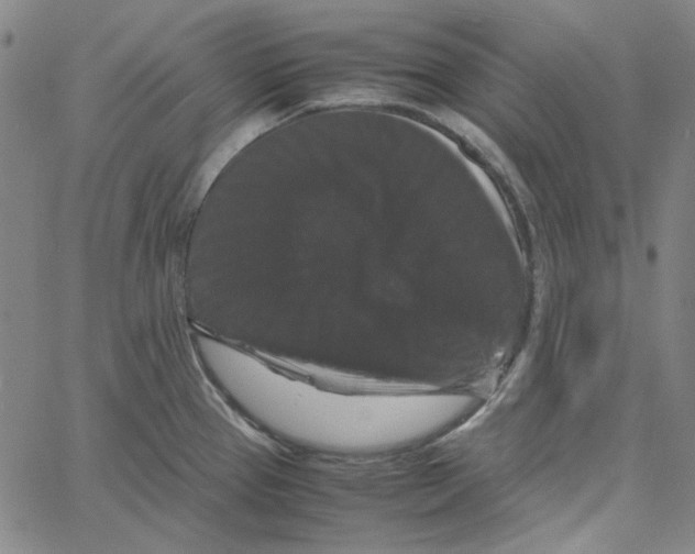 X0000061141337200512161520