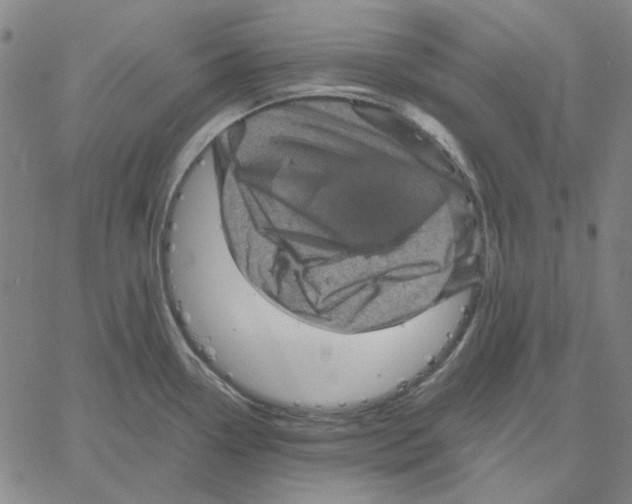 X0000061141338200512161520