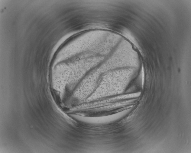 X0000061141339200512161520