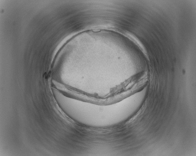 X0000061141340200512161520