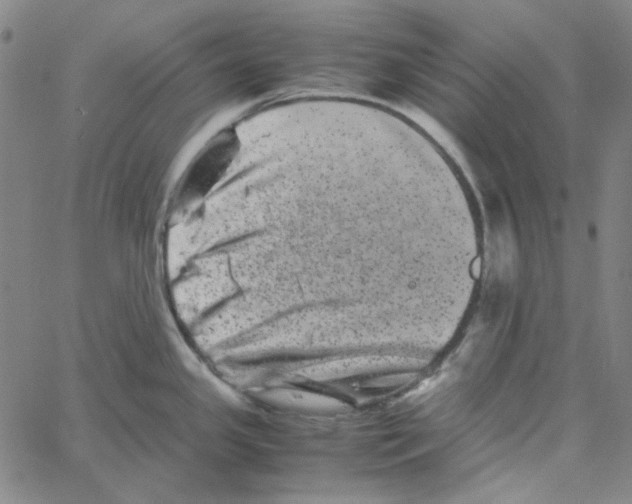 X0000061141341200512161520