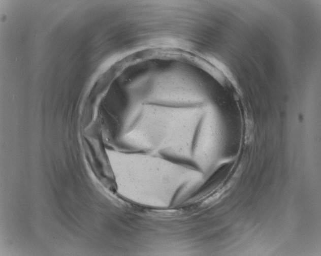 X0000061141342200512161520