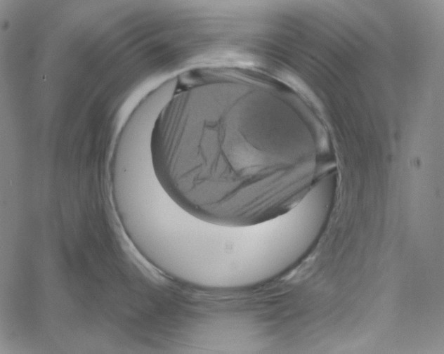 X0000061141344200512161520