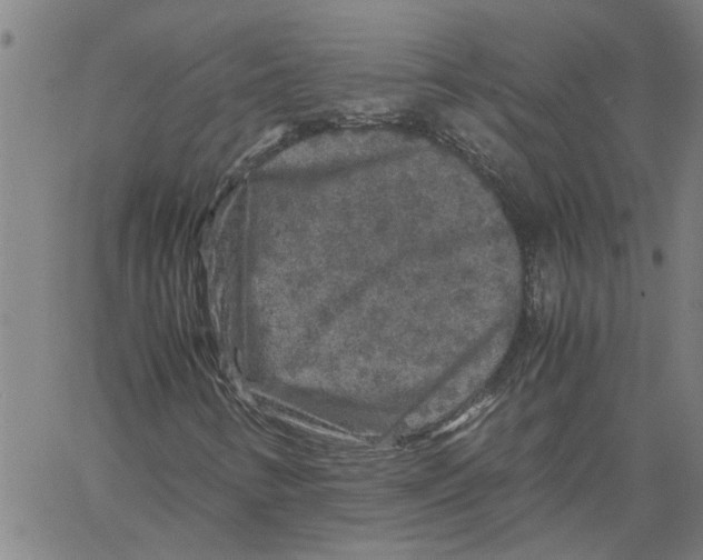 X0000061141346200512161520