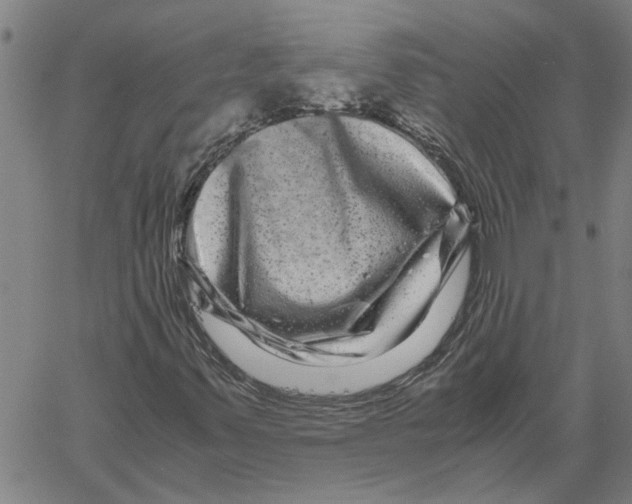 X0000061141347200512161520