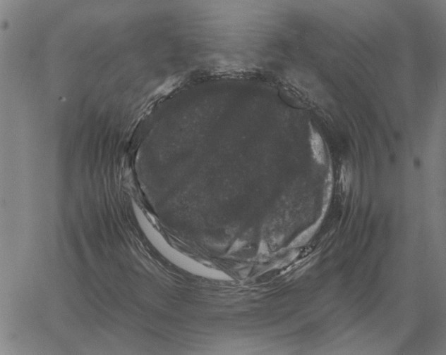 X0000061141348200512161520