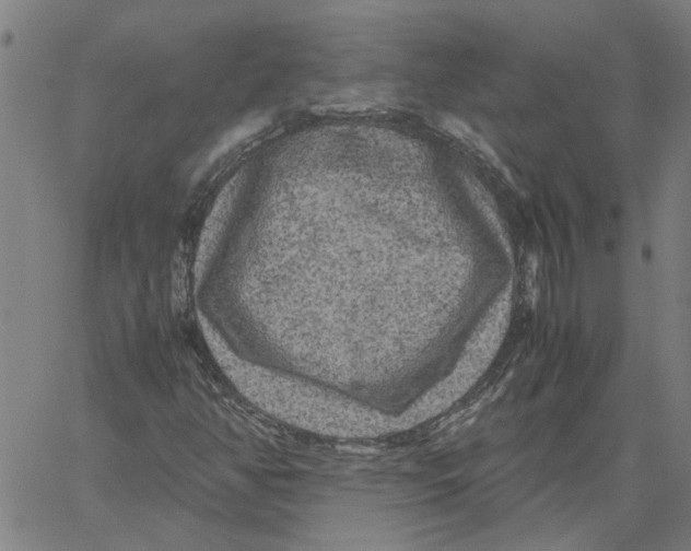 X0000061141350200512161520