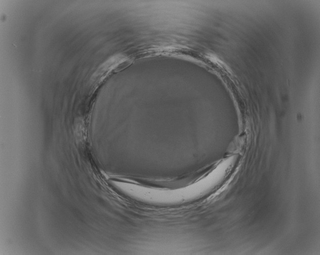 X0000061141353200512161519