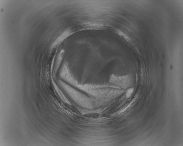 X0000061141354200512161519