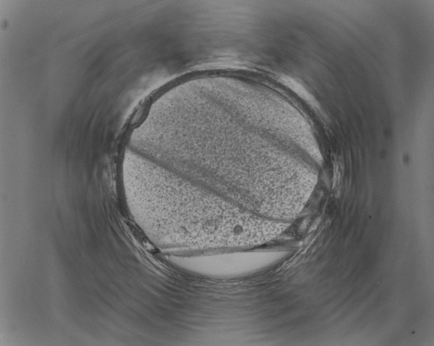 X0000061141356200512161519