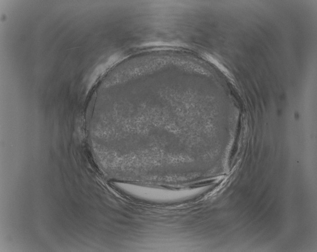 X0000061141357200512161519