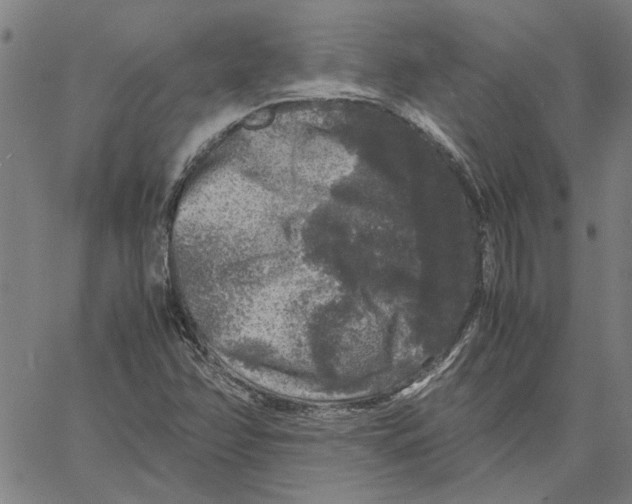 X0000061141358200512161519