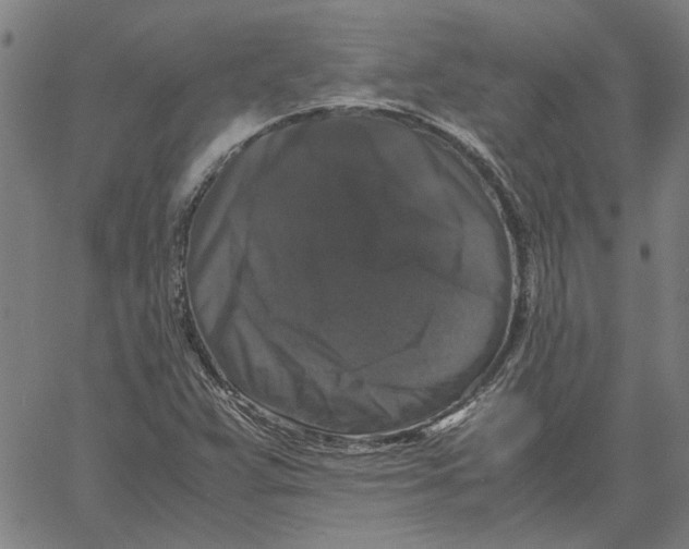 X0000061141359200512161519