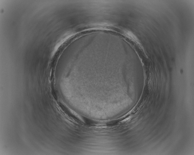 X0000061141360200512161519