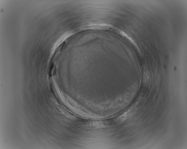 X0000061141362200512161519