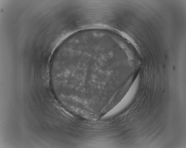 X0000061141364200512161519