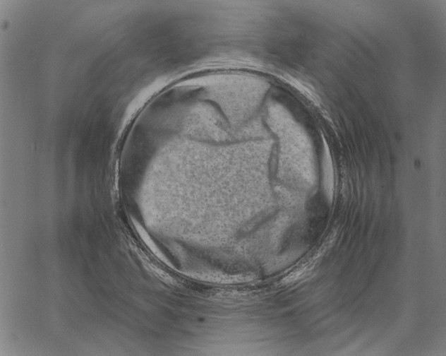 X0000061141366200512161519