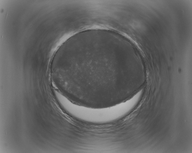 X0000061141367200512161519