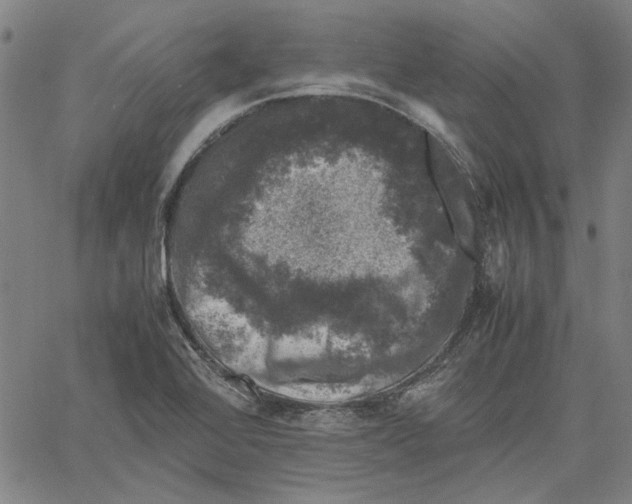 X0000061141368200512161519