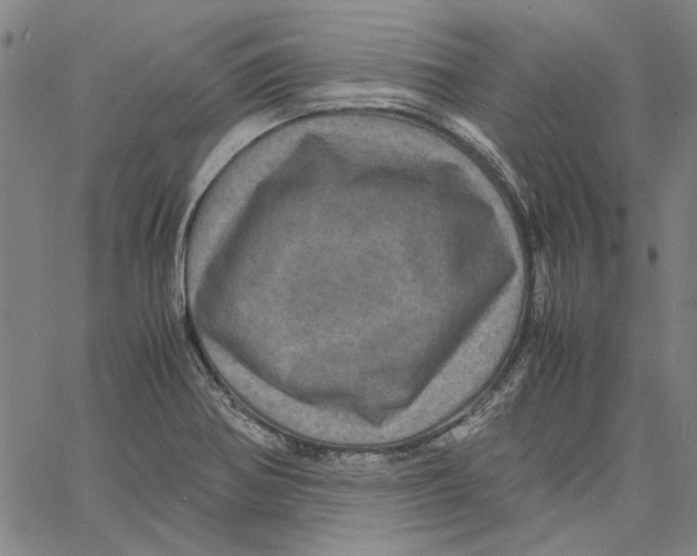 X0000061141370200512161519