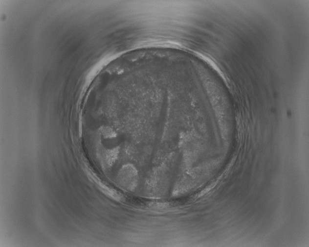 X0000061141371200512161519