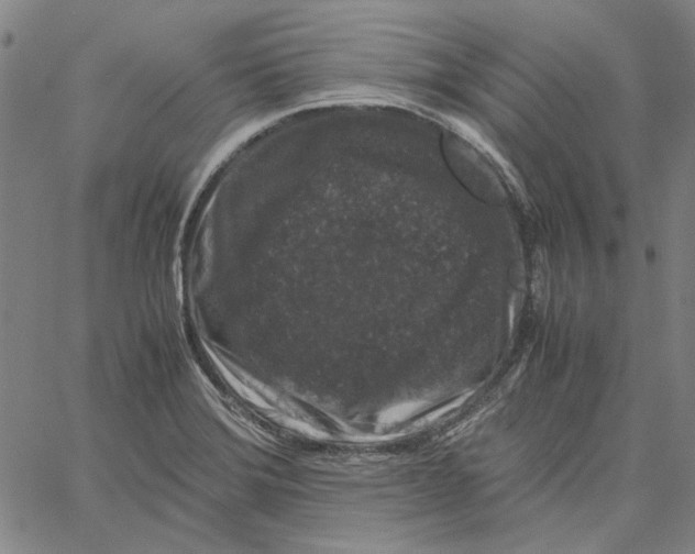 X0000061141372200512161519