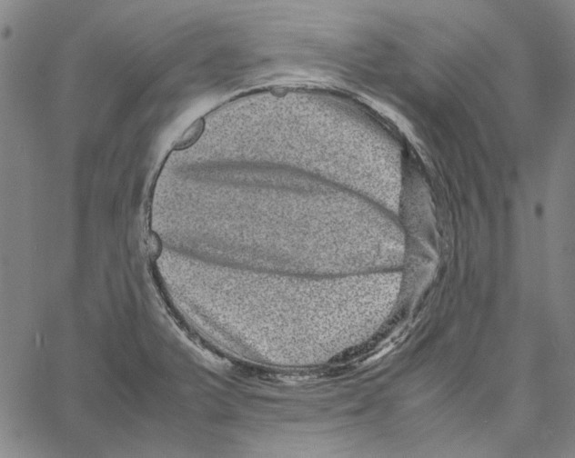 X0000061141375200512161519