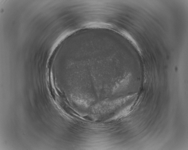 X0000061141376200512161519