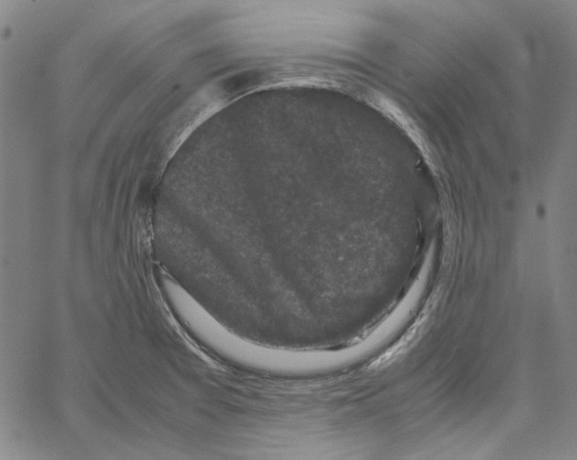 X0000061141377200512161519