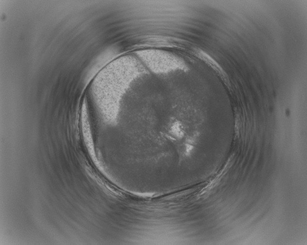 X0000061141378200512161519