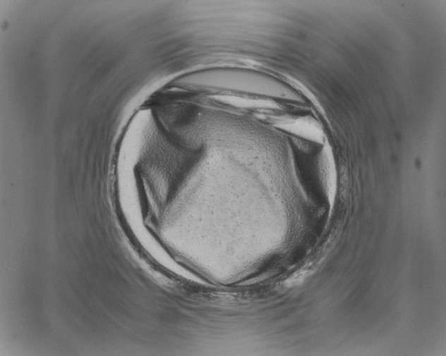 X0000061141379200512161519