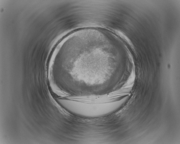 X0000061141380200512161519