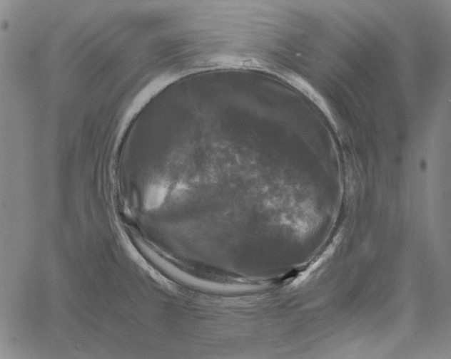 X0000061141381200512161519