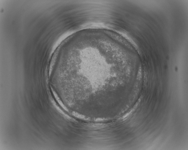 X0000061141382200512161519