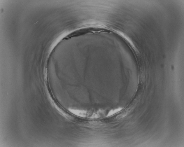 X0000061141383200512161519