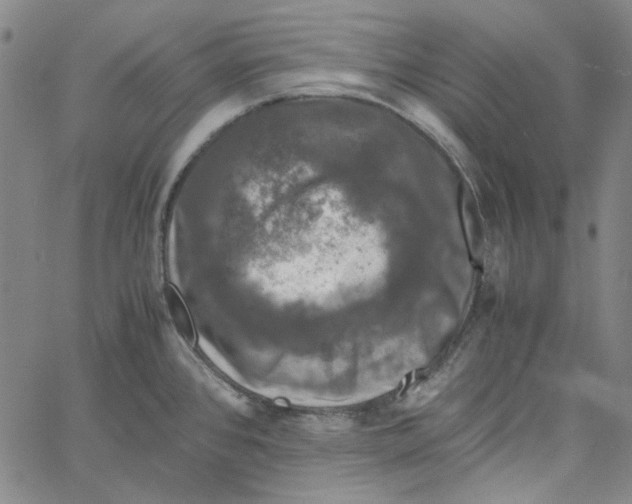 X0000061141384200512161519