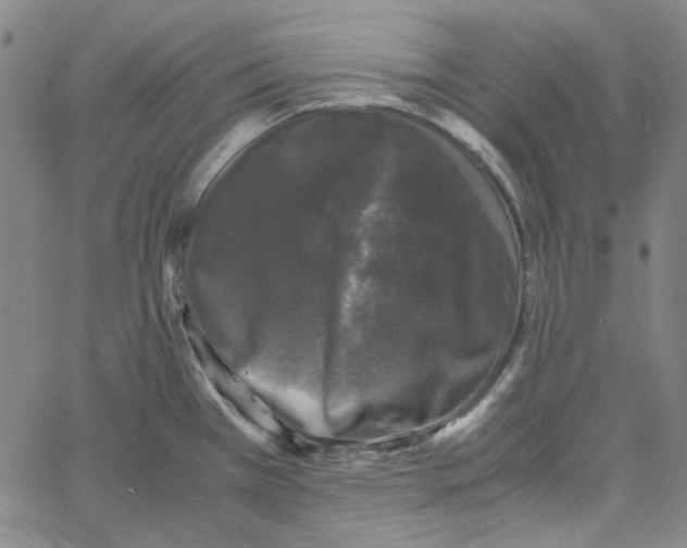 X0000061141385200512161519