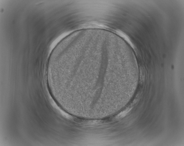 X0000061141387200512161519