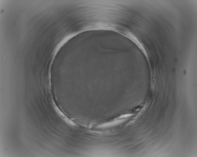 X0000061141388200512161519