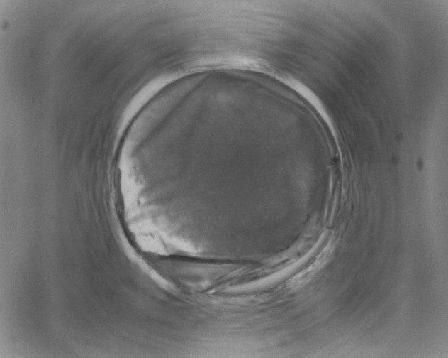 X0000061141389200512161519