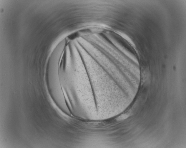 X0000061141391200512161519