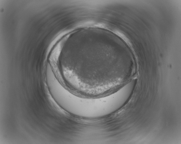 X0000061141392200512161519